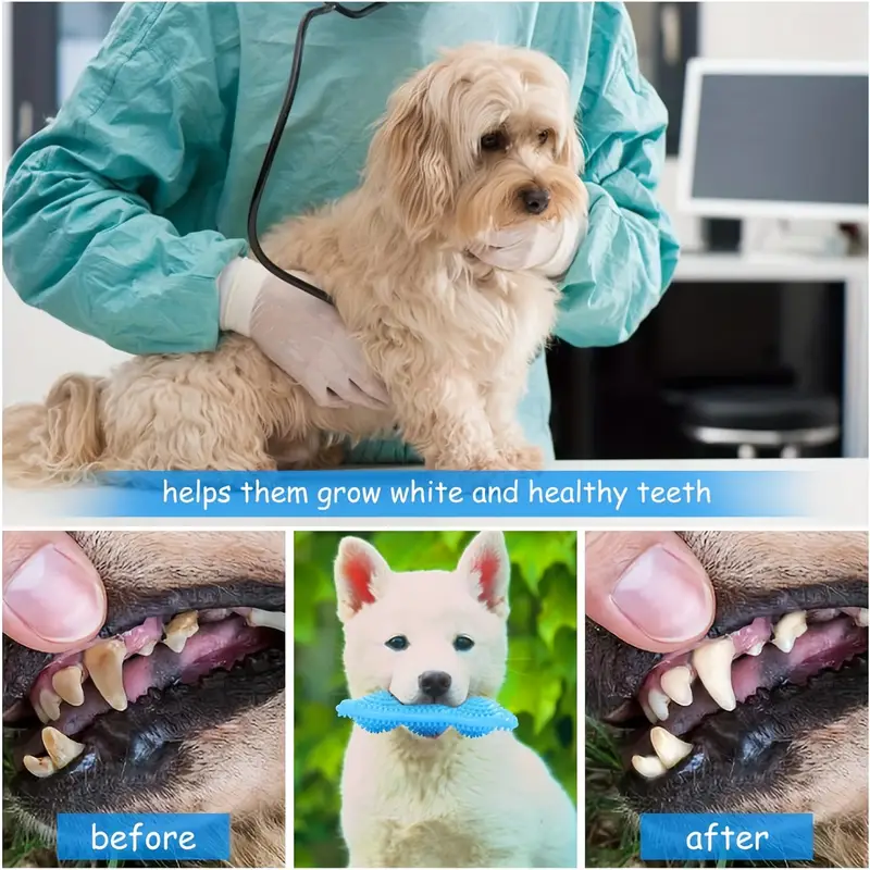 Pet Pea Grinding Toy Pet Pea Grinding Toy