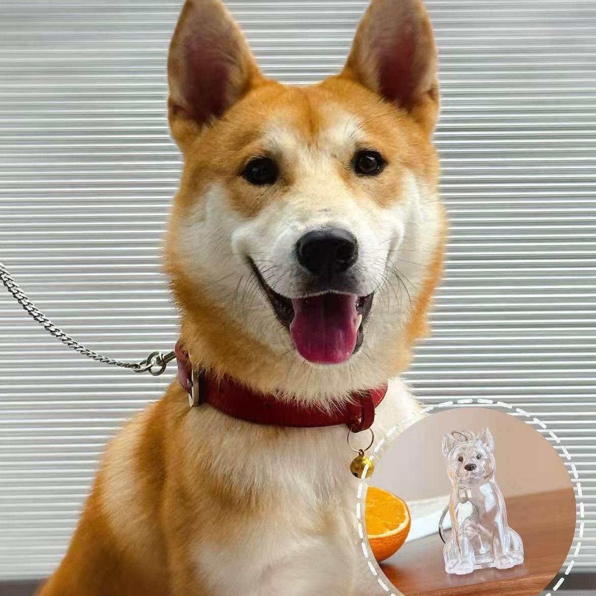 ❤️My Pet Keychain🐈🐕