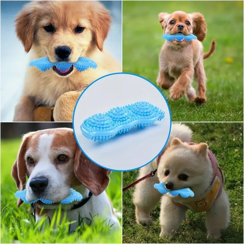 Pet Pea Grinding Toy Pet Pea Grinding Toy