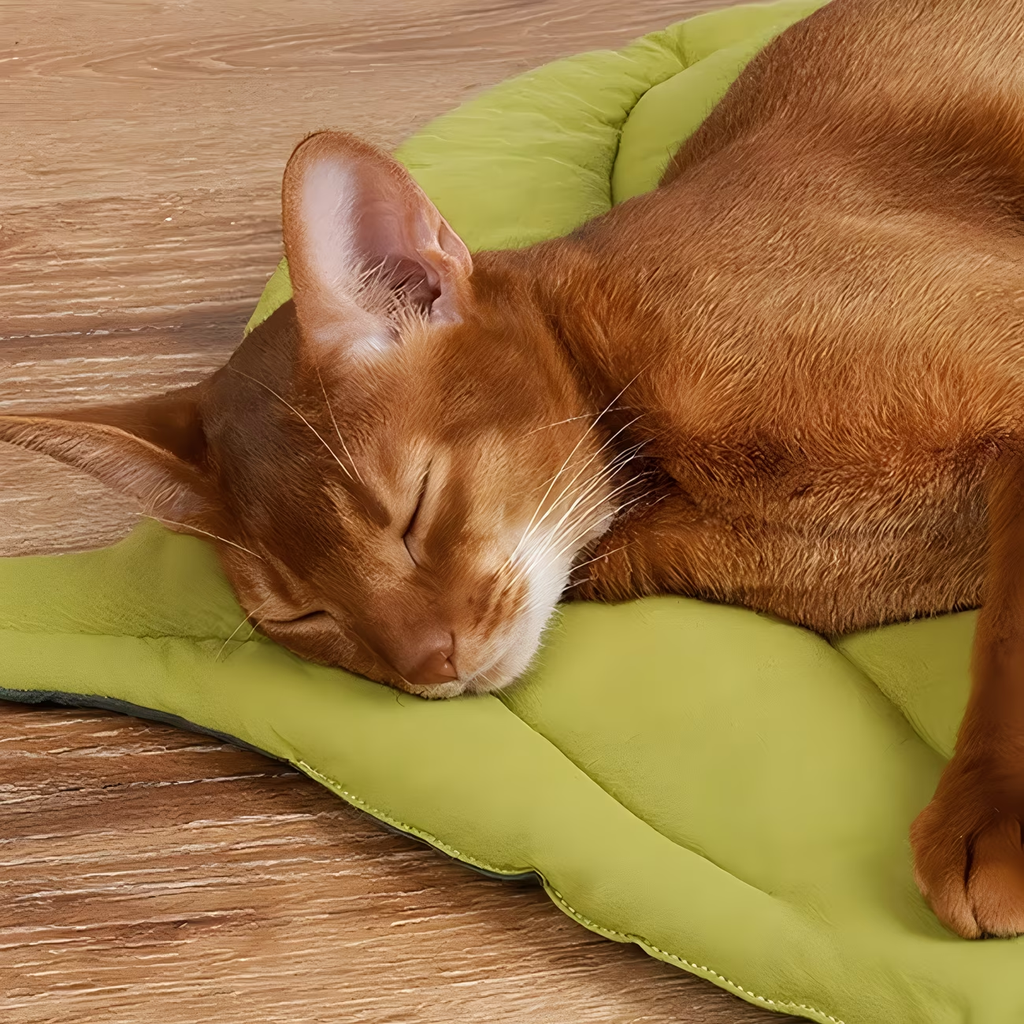 Comfortable leaf-shaped pet mat, made of polyester fiber, washable.