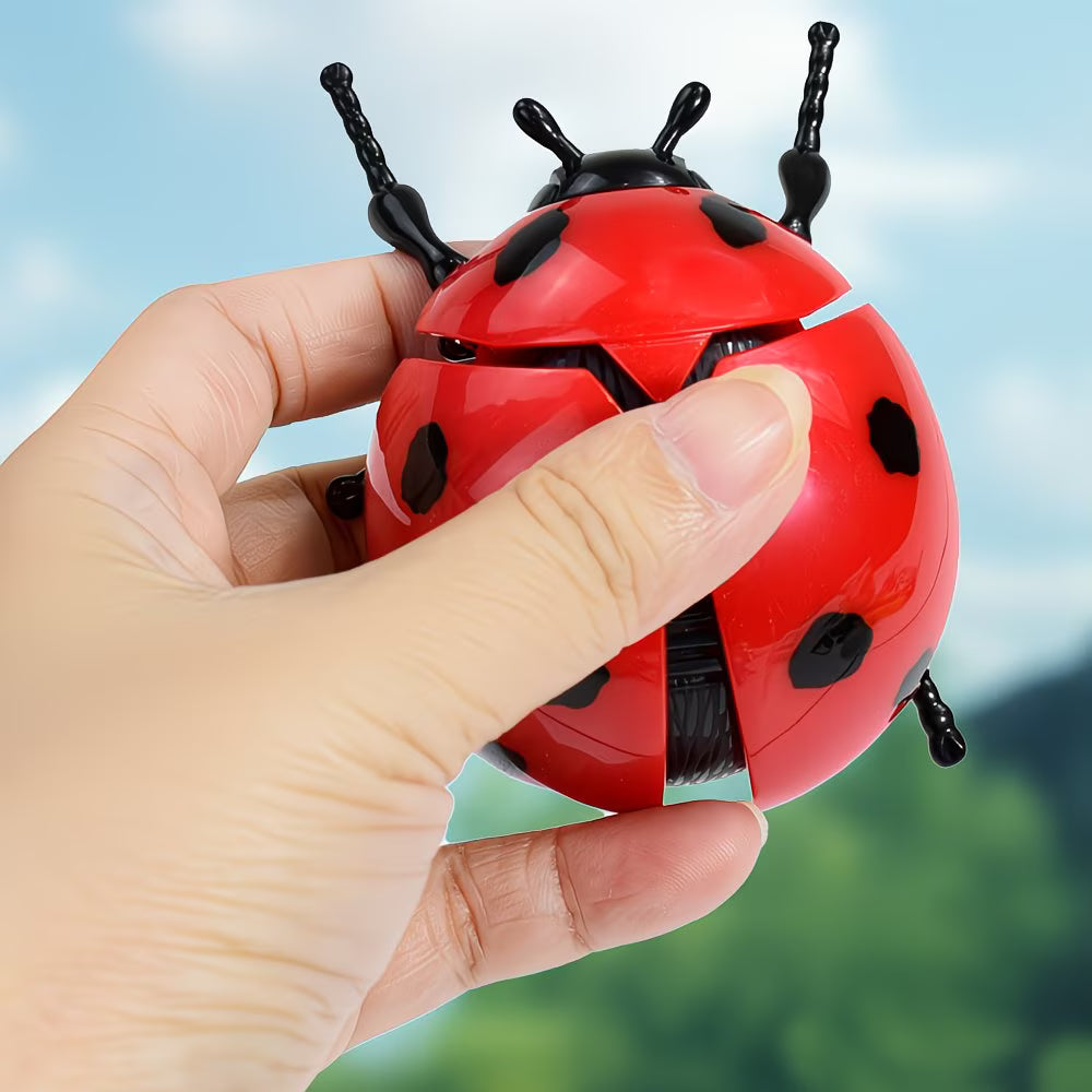 4 Wind-up Ladybug Toys
