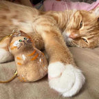❤️My Pet Keychain🐈🐕