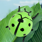 4 Wind-up Ladybug Toys