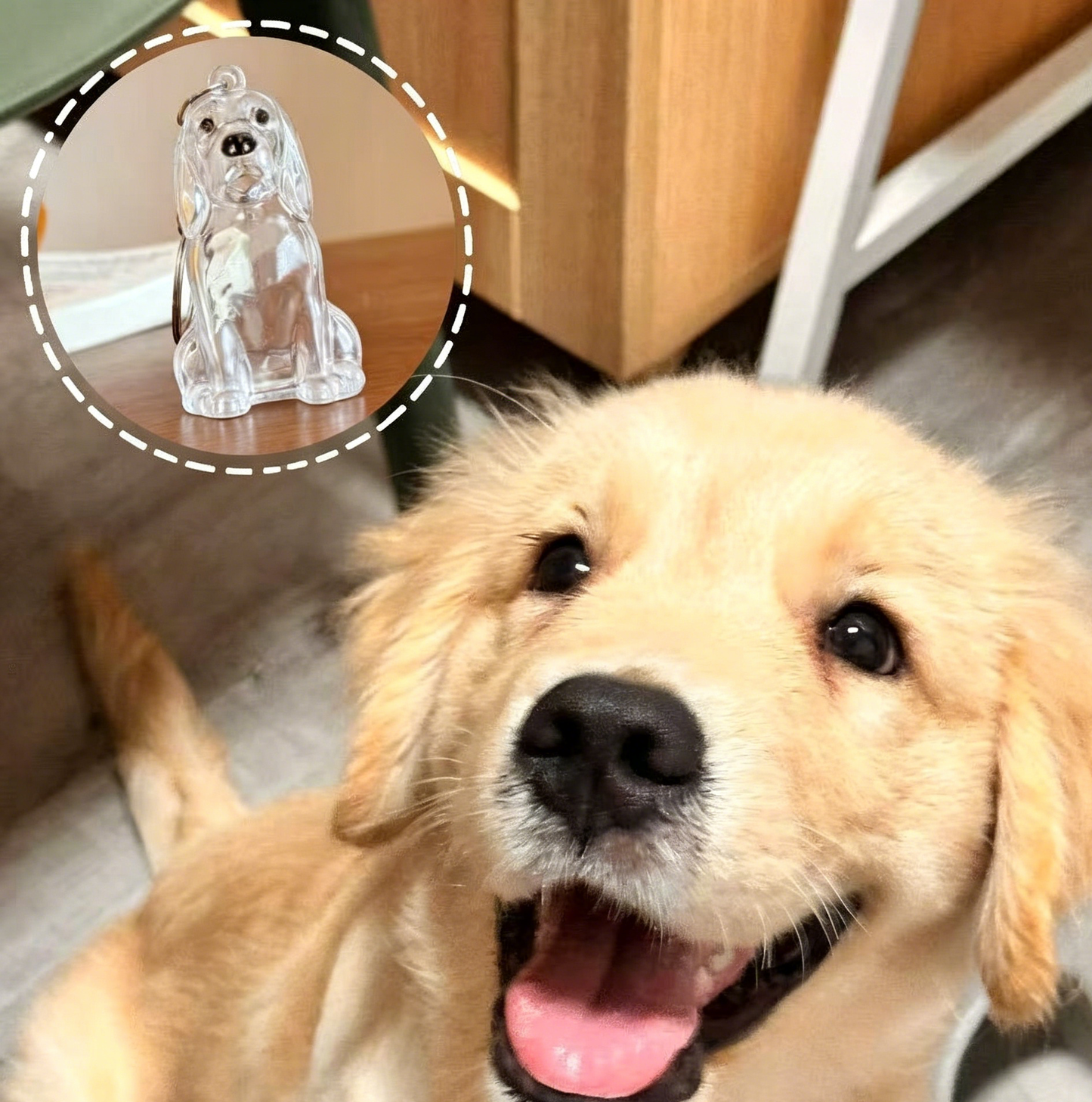 ❤️My Pet Keychain🐈🐕