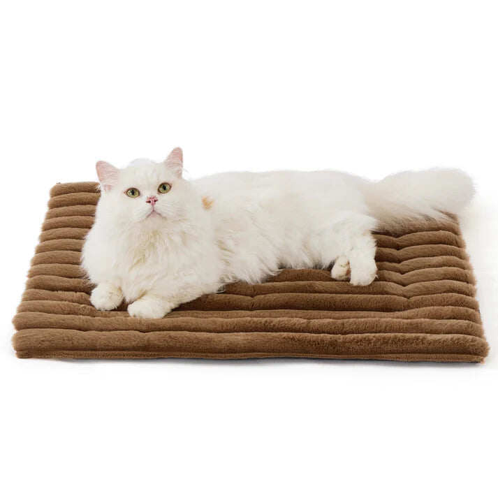 Winter essentials for your pet,Self Warming pet insulation pad