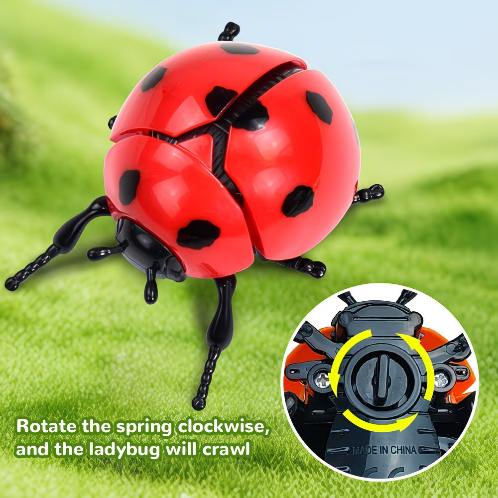4 Wind-up Ladybug Toys
