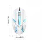 Wired gaming mouse with LED lights - ergonomically designed, USB connected, lightweight and portable, gaming mouse set, mouse and mouse pad in one