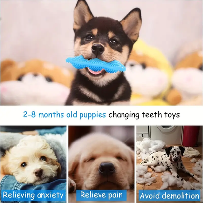 Pet Pea Grinding Toy Pet Pea Grinding Toy