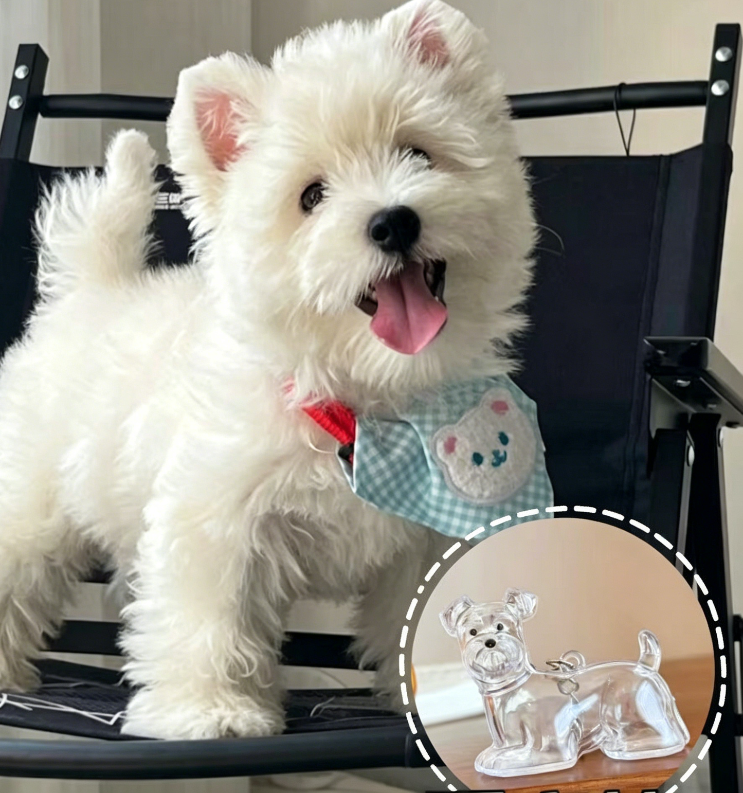 ❤️My Pet Keychain🐈🐕