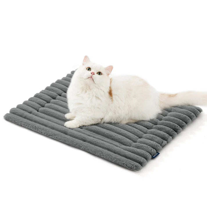 Winter essentials for your pet,Self Warming pet insulation pad