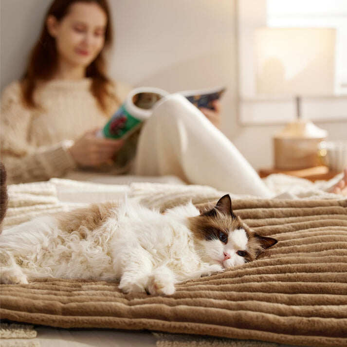 Winter essentials for your pet,Self Warming pet insulation pad
