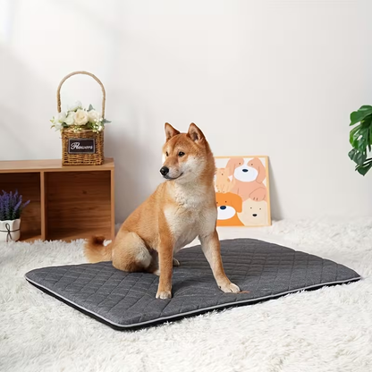 High-quality egg-shaped sponge-filled pet mat suitable for all seasons, cats and dogs.