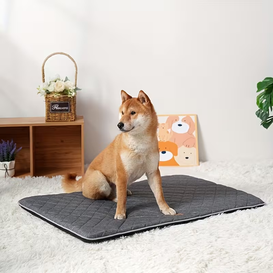 High-quality egg-shaped sponge-filled pet mat suitable for all seasons, cats and dogs.