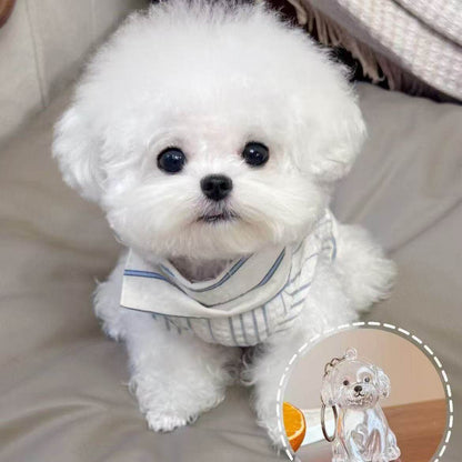 ❤️My Pet Keychain🐈🐕