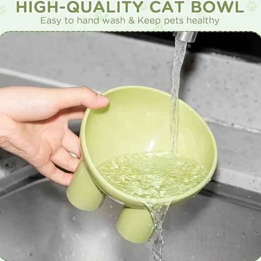 Tall cat bowls, made of plastic.