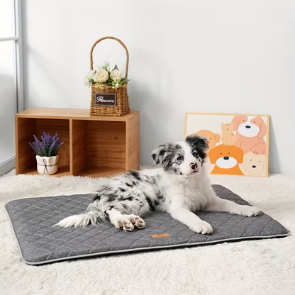 High-quality egg-shaped sponge-filled pet mat suitable for all seasons, cats and dogs.