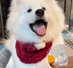 ❤️My Pet Keychain🐈🐕