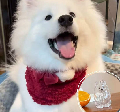 ❤️My Pet Keychain🐈🐕