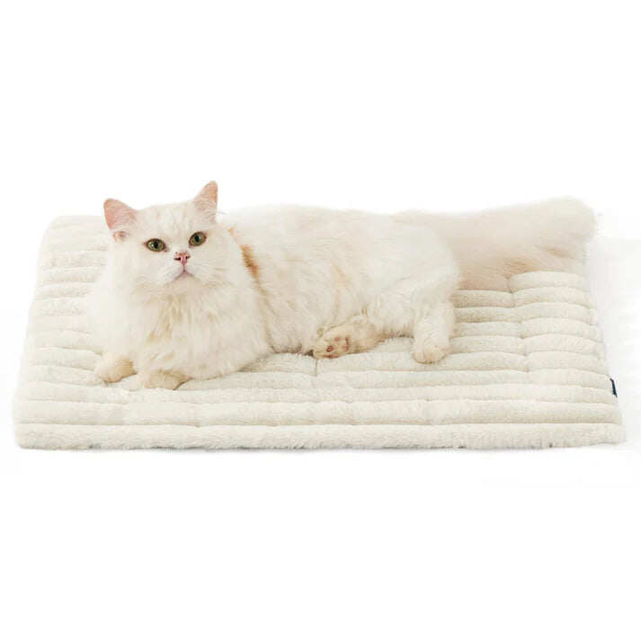 Winter essentials for your pet,Self Warming pet insulation pad